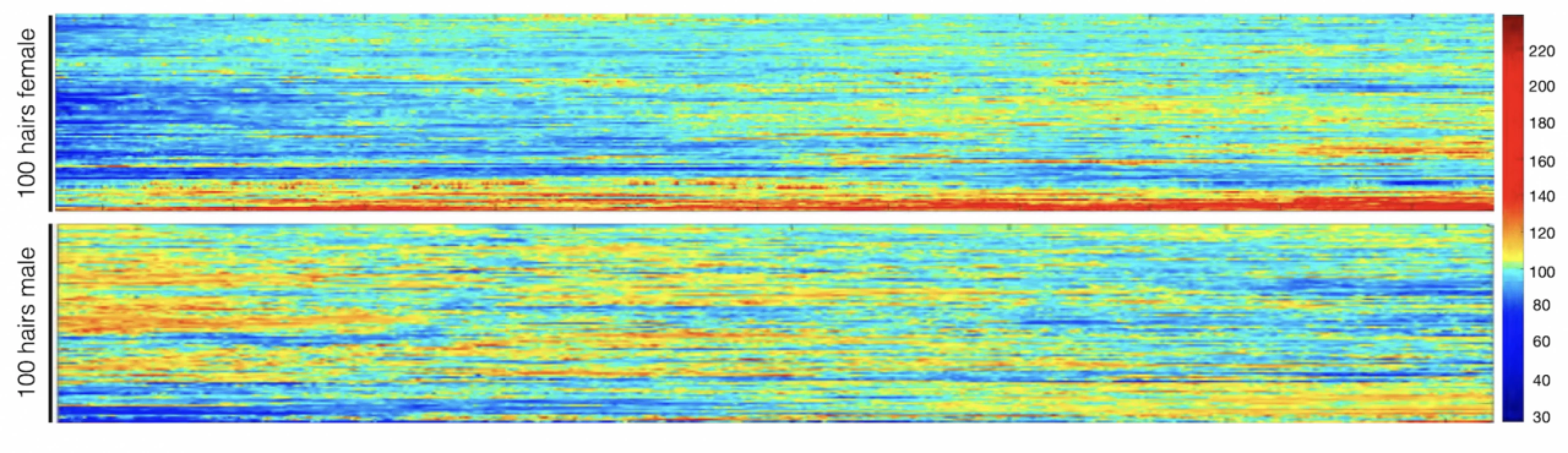 ѹ���о�����ͷ������ǿ����