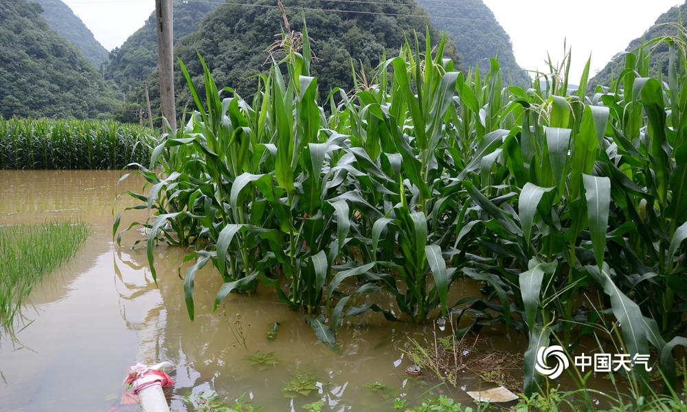 百色市隆林县隆或镇24日凌晨遇特大暴雨  来源：天气推送