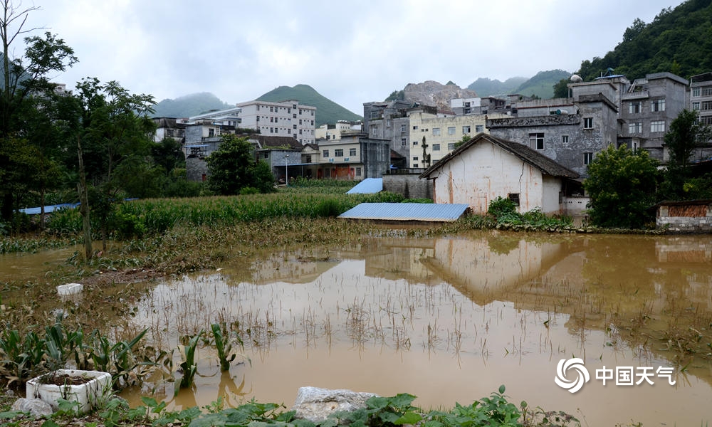 百色市隆林县隆或镇24日凌晨遇特大暴雨  来源：天气推送