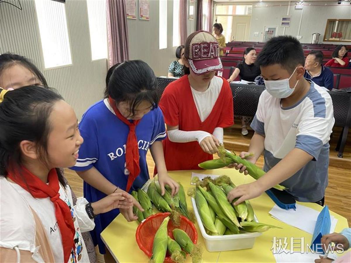 武汉武珞路实验小学怎么样?采摘自己种的玉米(图5)