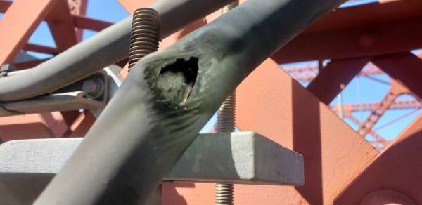 千年一遇极端高温已致北美近600人死亡，彭博社文章标题直接“归咎中国”