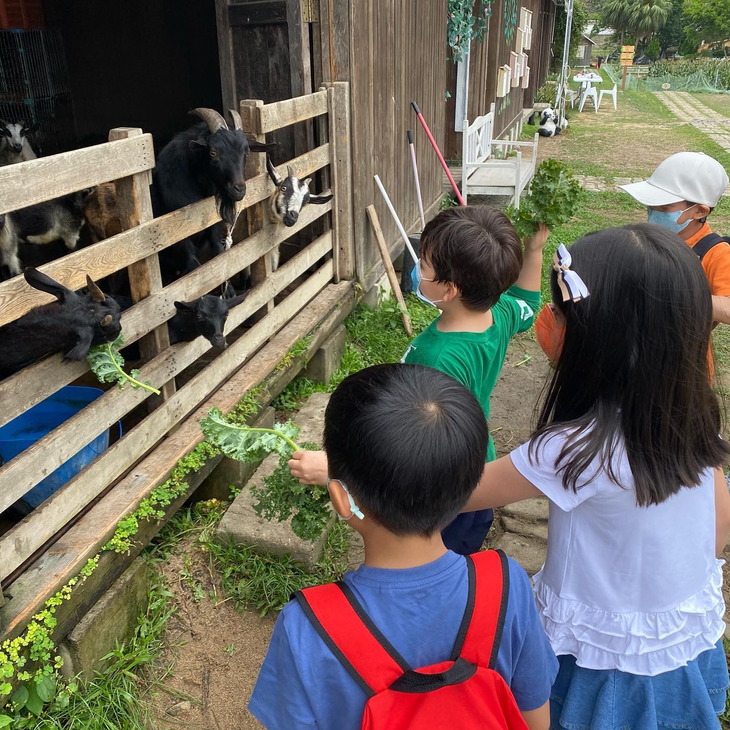 梁咏琪携女儿出门郊游，6岁Sofia身高出挑，足足高了同学一个头