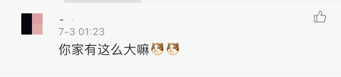 46岁林志颖晒孩子居家玩耍照，双胞胎儿子白净可爱，豪宅意外曝光