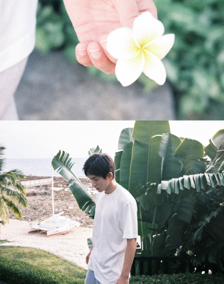 张哲瀚夏日清凉大片少年感满分