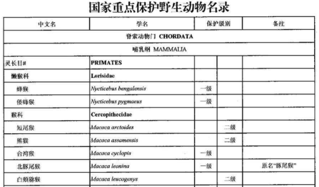 万能的淘宝上买不到什么？