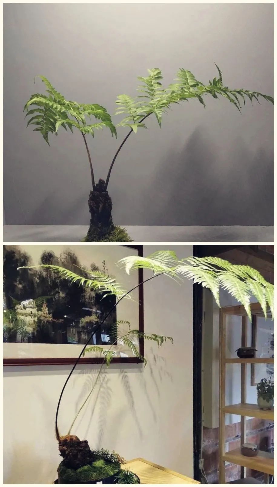 万能的淘宝上买不到什么？