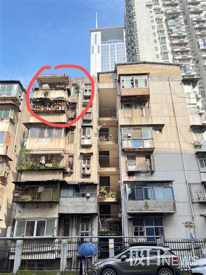 武汉一房屋空置6年，阳台上竟长出2棵大树