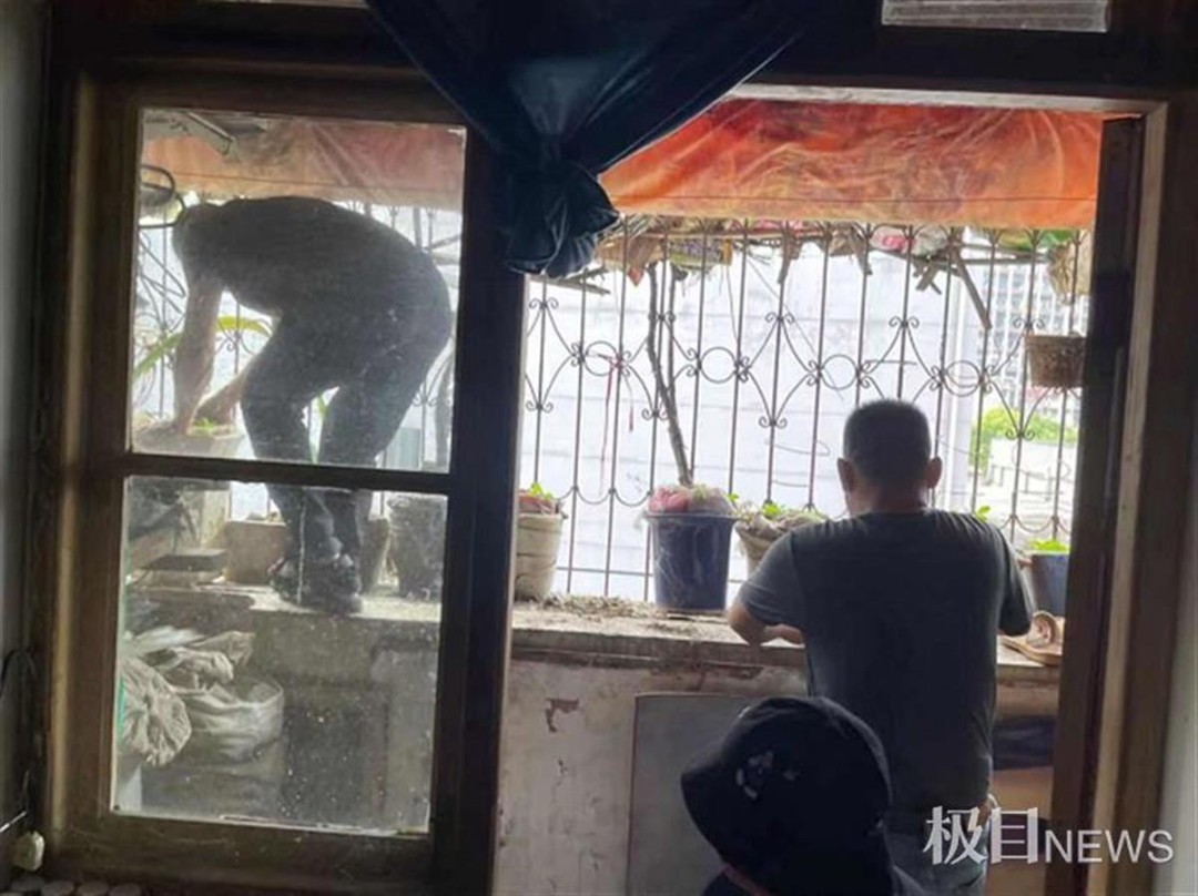 武汉一房屋空置6年，阳台上竟长出2棵大树