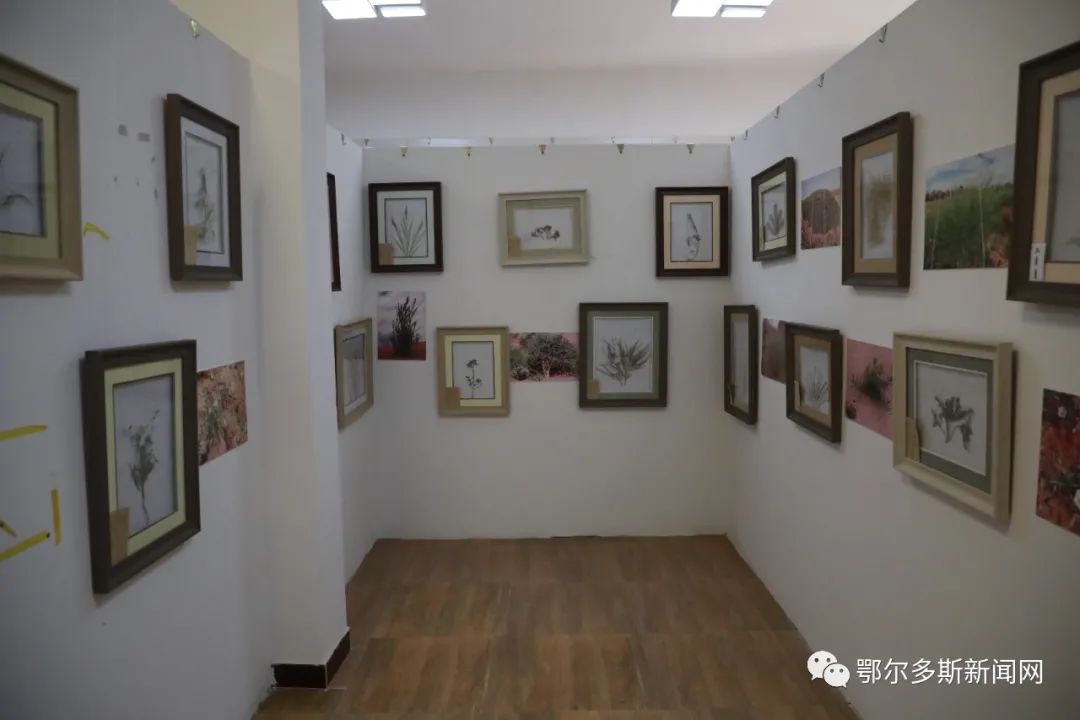 杭锦旗巴拉贡镇有这样一个文化教育基地