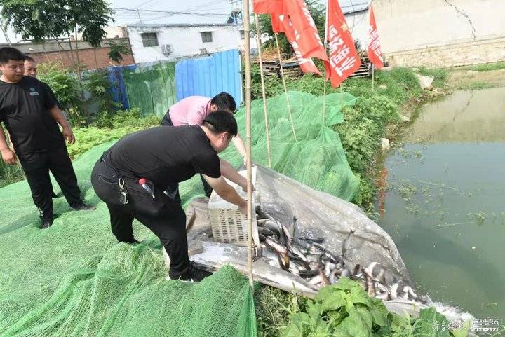 经开区创新黑臭水体治理模式 实行按揭渔业，实现“以鱼治水”