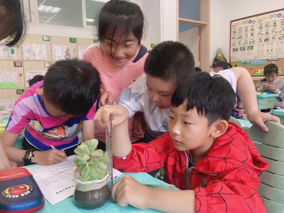 青岛市第六实验小学开展项目式学习活动(图2)