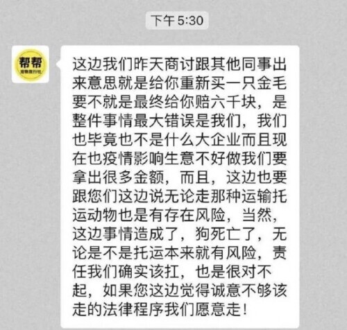 收空運的錢卻走陸運？寵物托運途中死亡，多部門介入，明星聲援