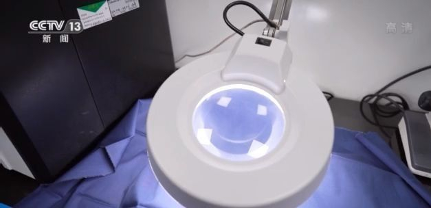 3������Ա��̫�ա��¡���ʳ�����ǿ�ʲô����������