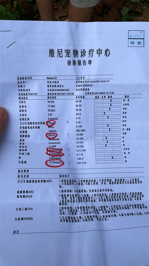 贵州一小区10只宠物狗接连死亡，狗主人称小区多处发现毒骨