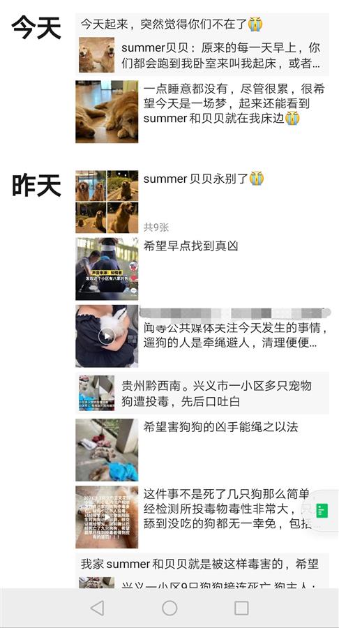 贵州一小区10只宠物狗接连死亡，狗主人称小区多处发现毒骨