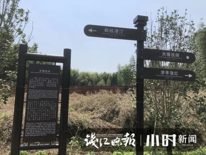 心碎！杭城14岁男孩被卷走溺亡，今天还有很多孩子在这玩！志愿者急了：怎么不听劝啊……