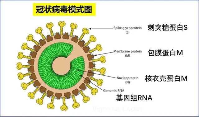 https://p3-tt.byteimg.com