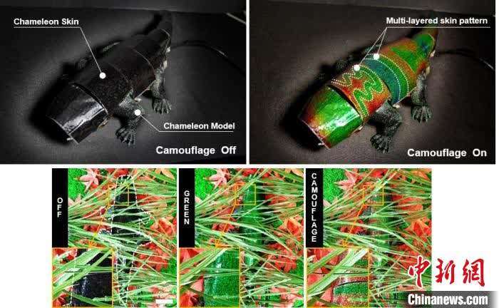 国际最新研究：仿变色龙软体机器人可根据背景实时变色