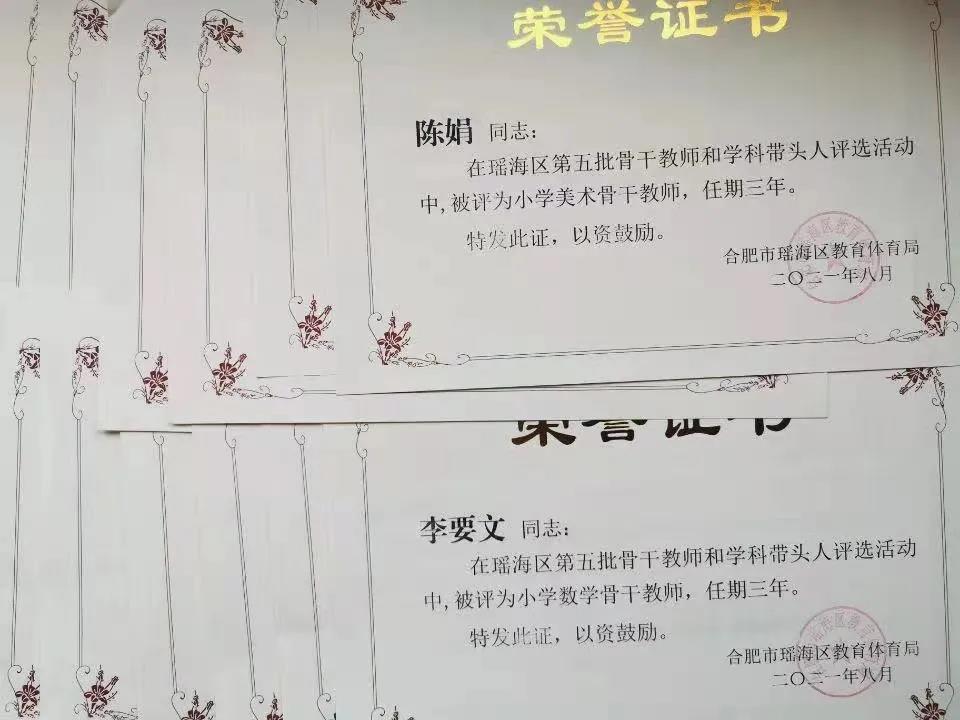 合肥市和平小学32名教师荣获荣誉称号(图2)