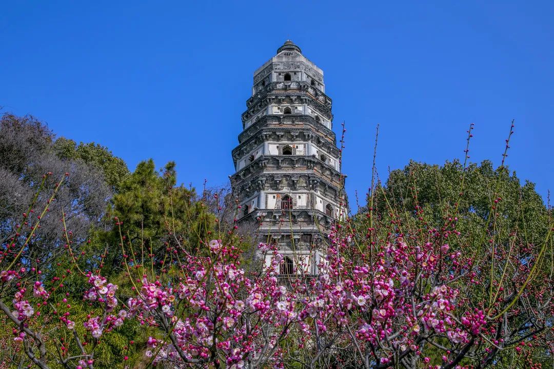 運河十景 | 斜而不倒，屹立千年，走進吳中第一名勝
