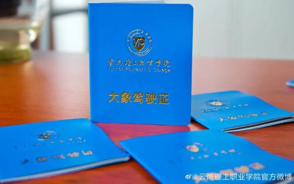 �ϴ�ѧ�������������ʻ֤��������������ƫ����