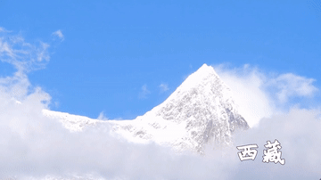 跨越万水千山的深情