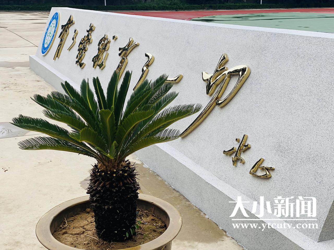 芝罘區(qū)國(guó)翠小學(xué)迎來開學(xué)第一天!新征程(圖7) 芝罘區(qū)國(guó)翠小學(xué)迎來開學(xué)第一天!新征程(圖7)