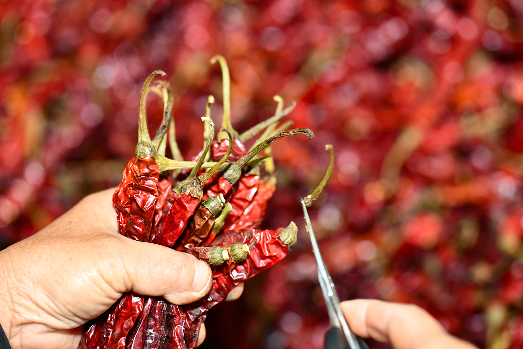 ��ý����ʲô�����ǰ��������������ǵġ�ʹ�ࡱ��