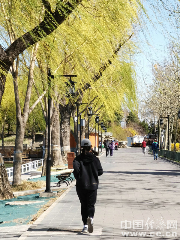 女人氣血不足老得快 4招教你改善
