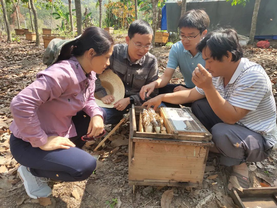 身边的榜样丨陈晓刚：勇挑脱贫攻坚重担 促进民族团结进步