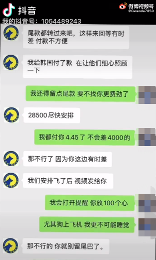 金毛Siri悲剧重演？女子称花费近5万托运边牧去世：涉事公司资质不全，收取医药费在狗死后才交医院