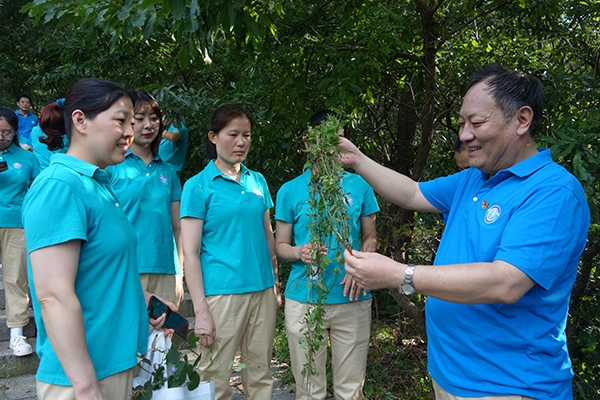 野外识草：探知本草世界 弘扬中医药文化