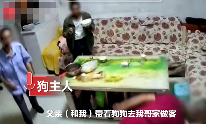 四川男子酒后入室7刀砍死邻居家狗，拉都拉不住！狗主人还原事情经过