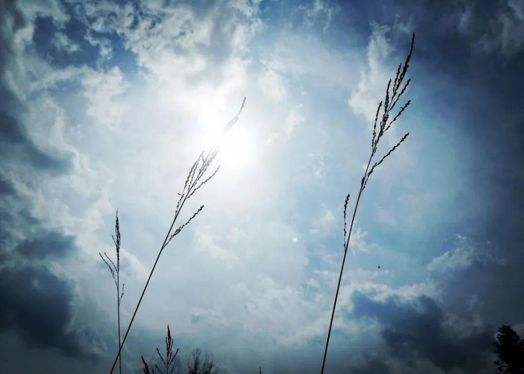 写作 | 我们缺少的是挑选和加工的技术