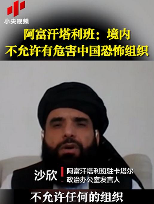 塔利班：境内不允许有危害中国的恐怖组织