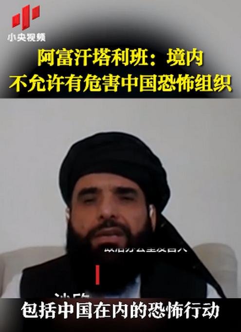 塔利班：境内不允许有危害中国的恐怖组织