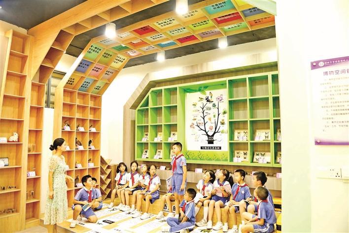 宝安区海城小学“生长文化”的建构与实践(图2)