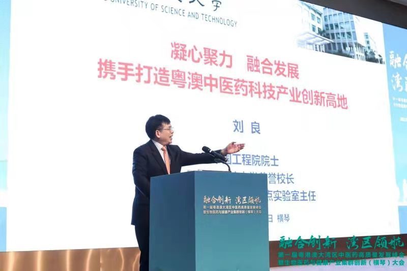 如何打造大湾区中医药高地？横琴峰会开出“药方”