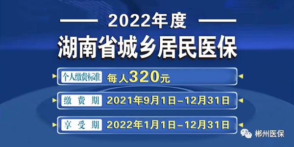 农村合作医疗网上缴费流程详细步骤