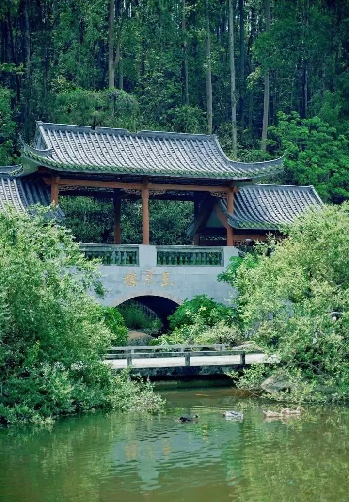 目标：国家5A级！广州新建中医药文化景区