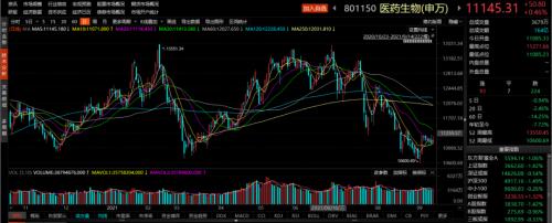 7月至今跌了逾15%，医药股还能碰吗，如何投资医药股？