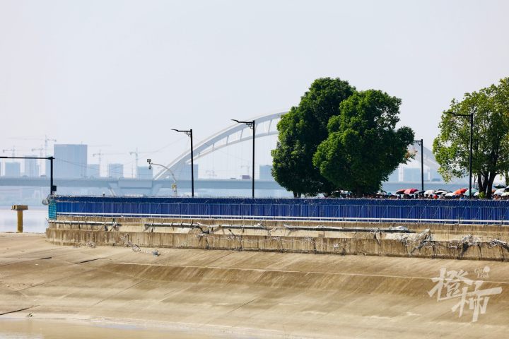 浪花超3米，壮观！八月十六，记者七格直击钱塘江大潮！现场新装了蓝色围栏，来看前后对比