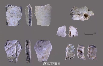 河南发现3万年前现代人头骨