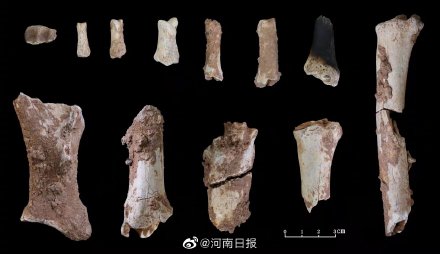河南发现3万年前现代人头骨