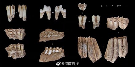 河南發(fā)現(xiàn)3萬年前現(xiàn)代人頭骨