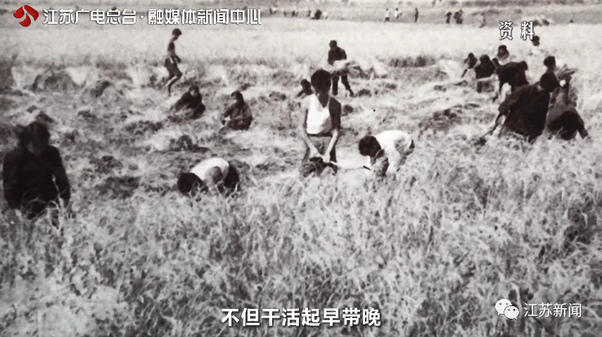 红色珍档｜40年前，关于江苏这个村的一篇文章，引起全国震动