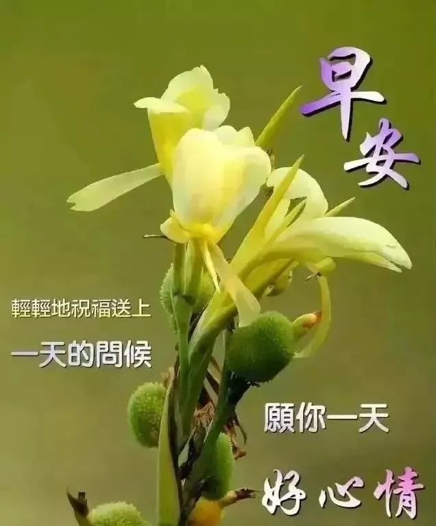 早上好问候语动态表情图文字，微信新的漂亮祝福语图片图片