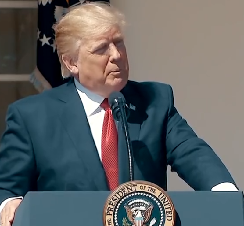 �����ջ����Ϯ���ʣ�����2024�����µ���ͳ�����ѣ������������������