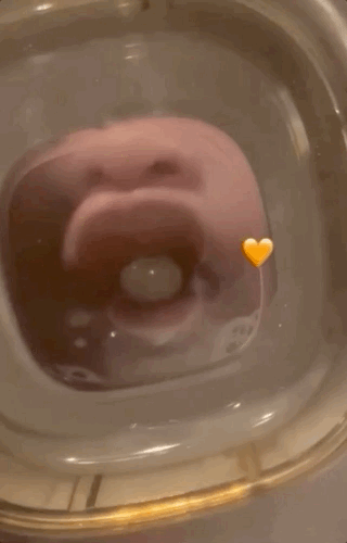 當爹後幸福又疲憊，楊祐寧的“曬娃方式”很新穎，不按套路出牌