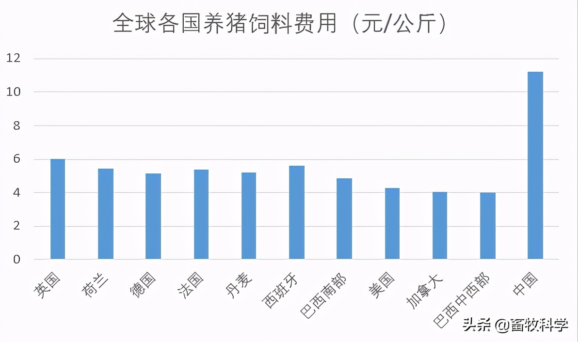 养猪成本每公斤不到6元？全球各国养猪成本大排名